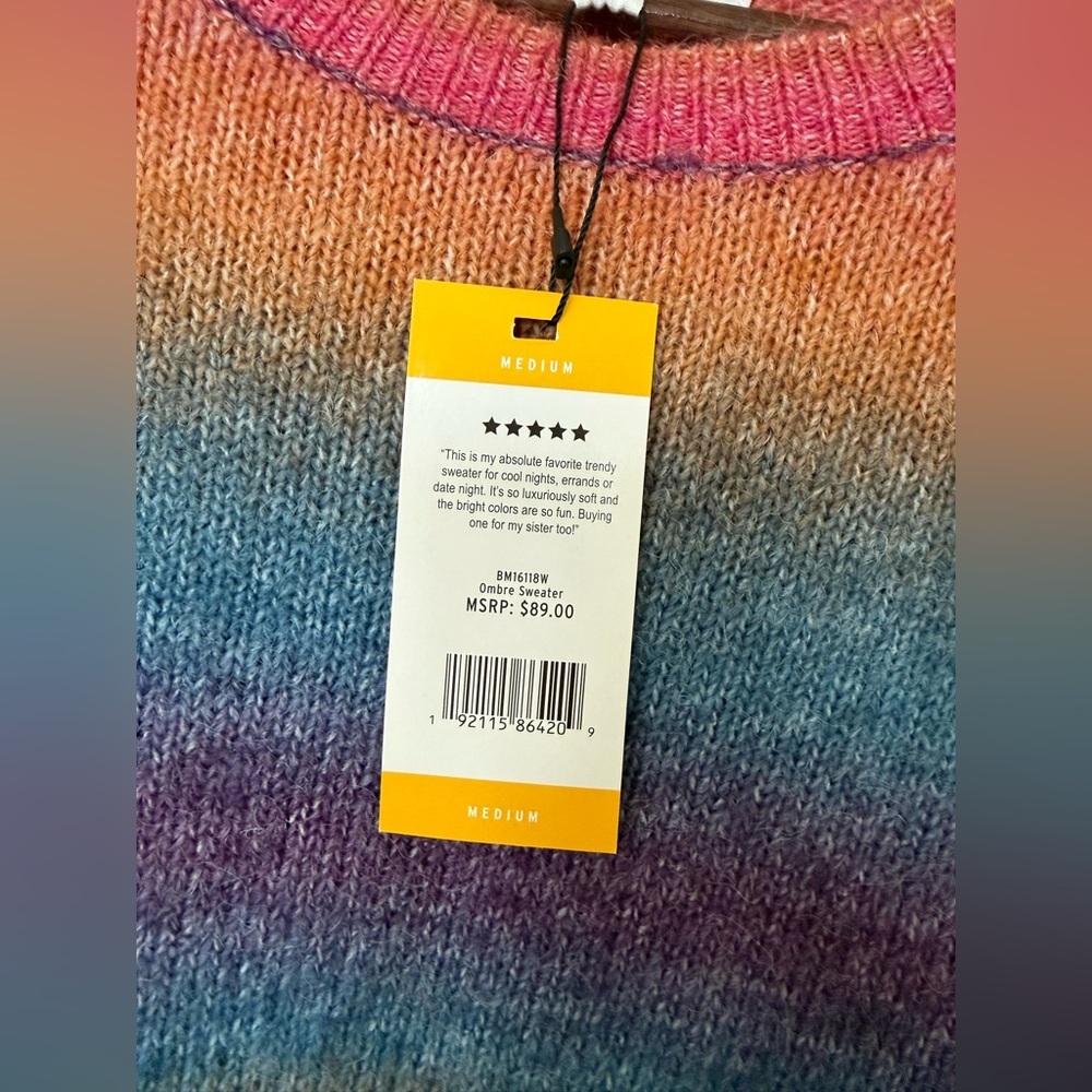 BB Dakota Multicolor Ombre Striped Crewneck Sweater - Picture 5 of 8